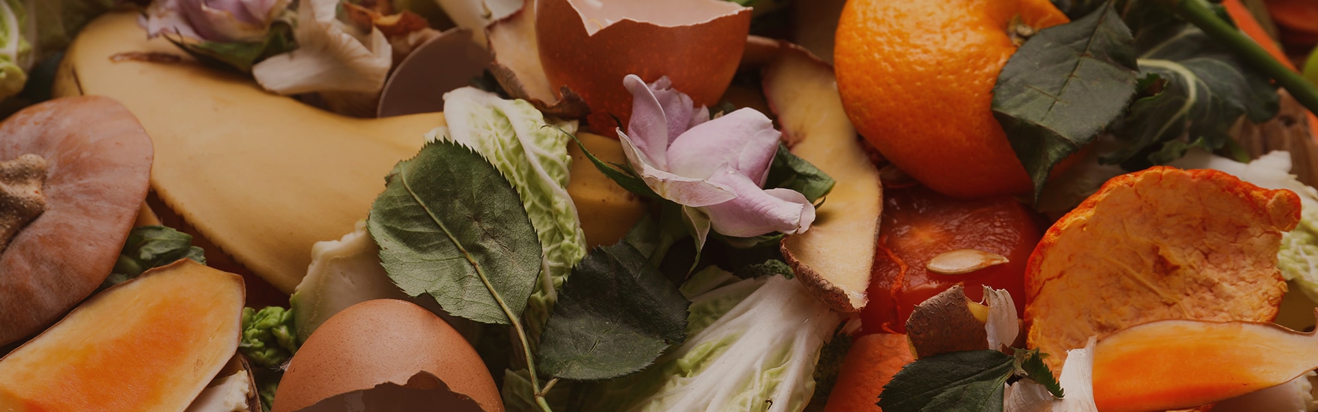 Composting 101: Turning Kitchen Waste into Garden Gold