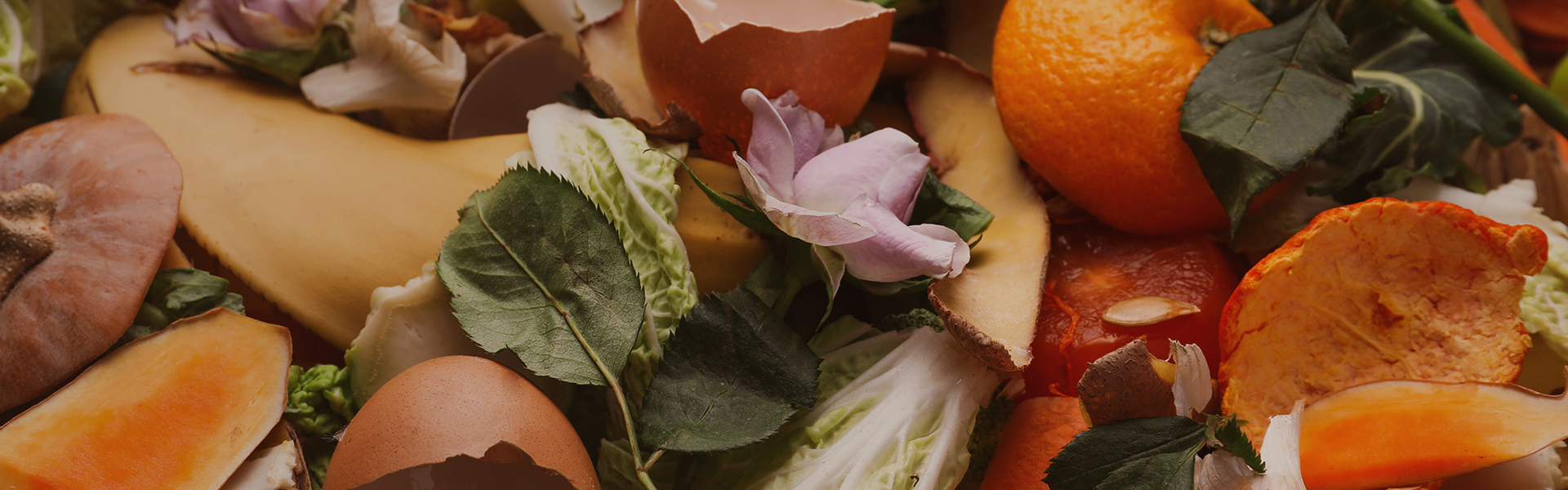 Composting 101: Turning Kitchen Waste into Garden Gold