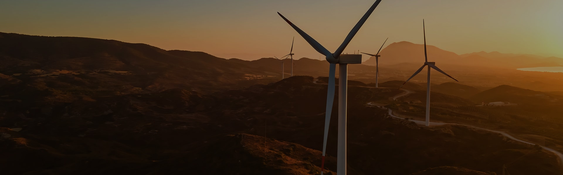 What to Watch - Trending Series for Sustainable Living Enthusiasts