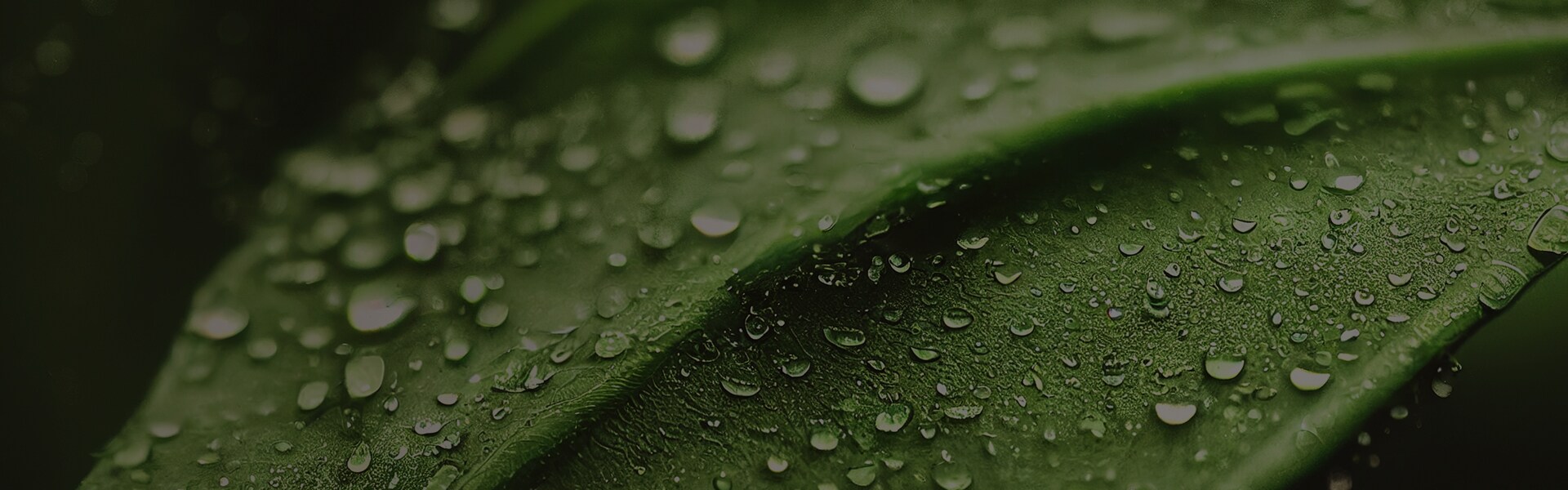 Grundig's 5 Sustainable Technologies
