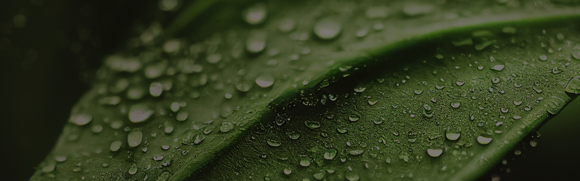 Grundig's 5 Sustainable Technologies