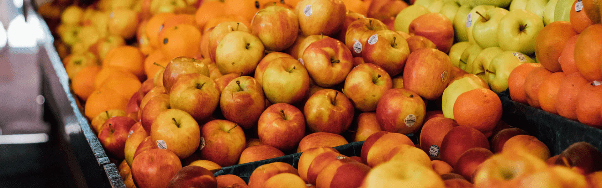 Reduce el desperdicio en el día mundial de la alimentación