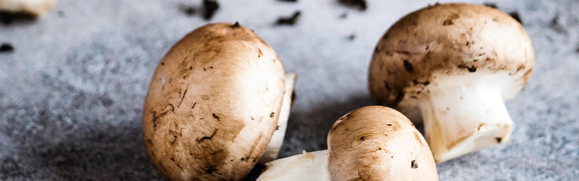 Know Your Food: Mushroom