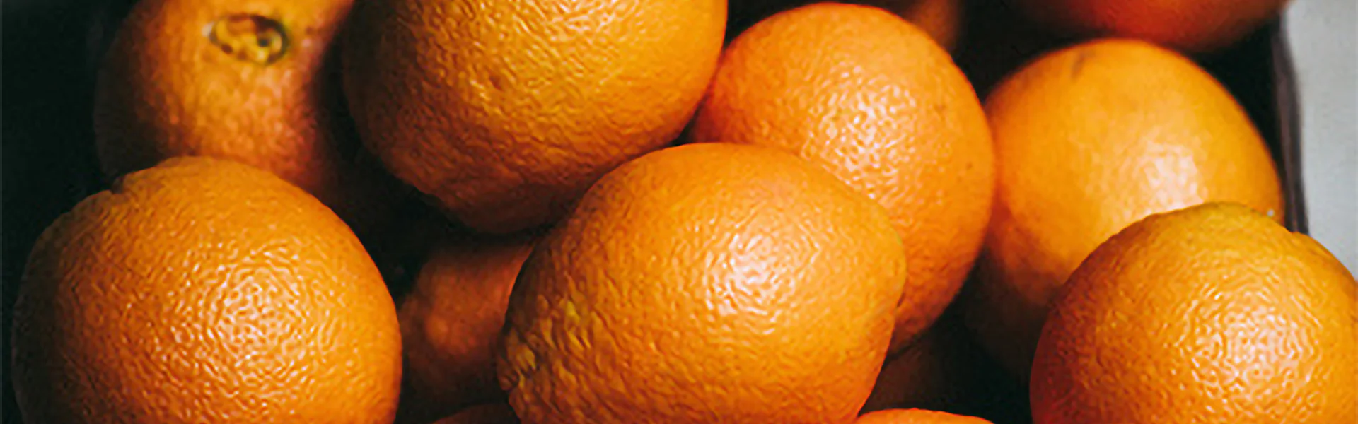 Kenne dein Essen: Orange
