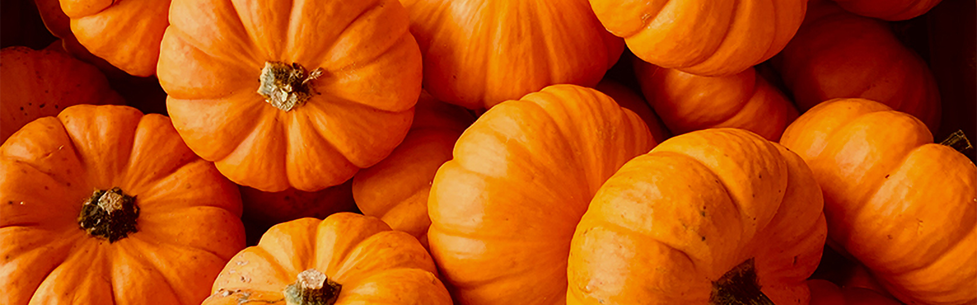 Know Your Food: Pumpkin