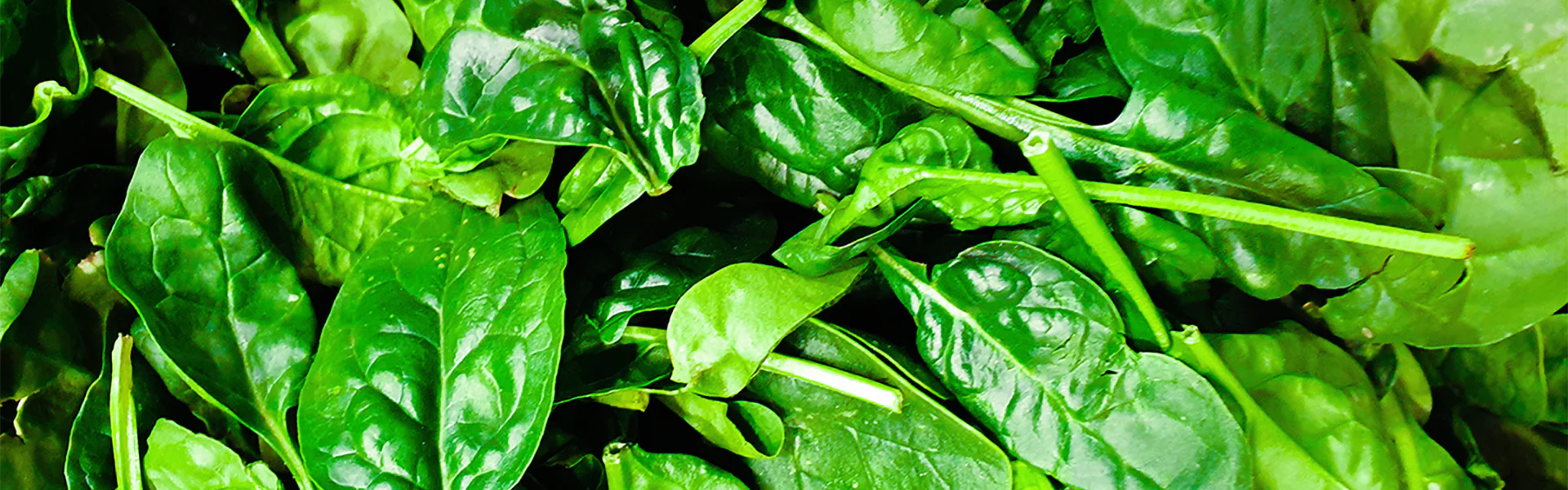 Conoce tu alimentación: Espinacas