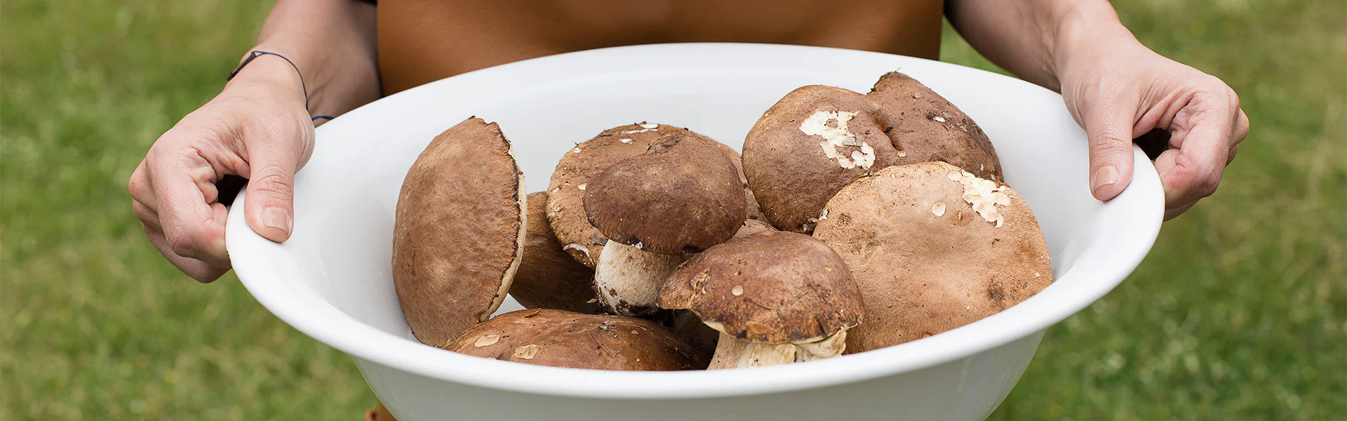 How to use and take care of mushrooms