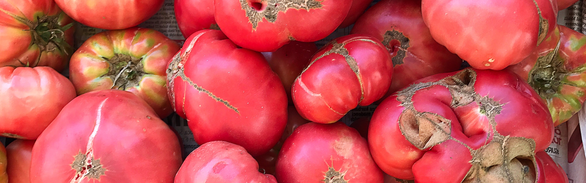 Cómo cuidar de tu fruta de temporada