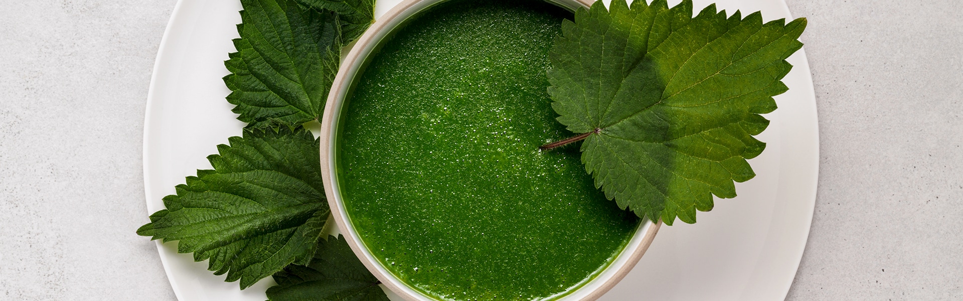 Nettle Soup (Vegan)