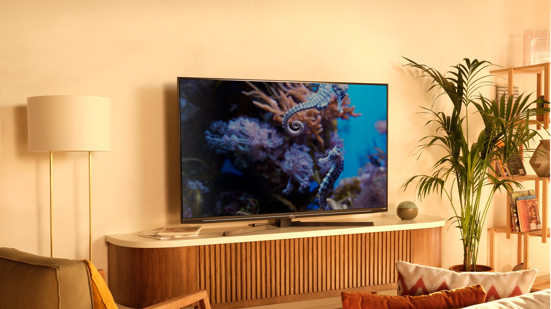 Smart TV