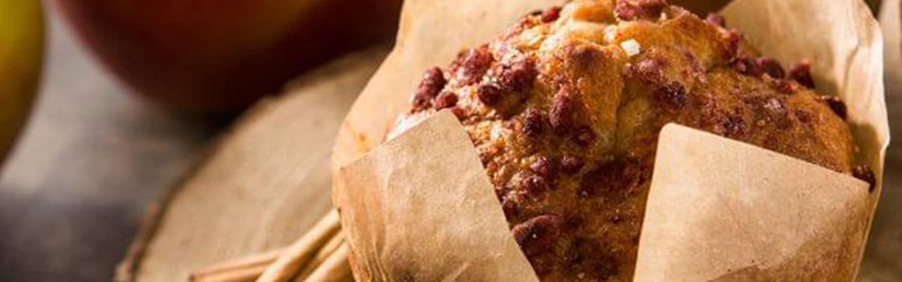 Apple Cinnamon Oatmeal Muffin_1920x600