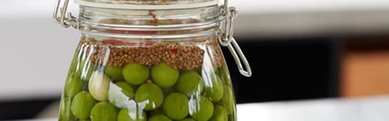 pickled_plums-eriktursu_1920x600