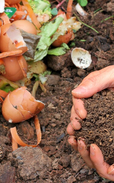 Hands are holding composted earth.
