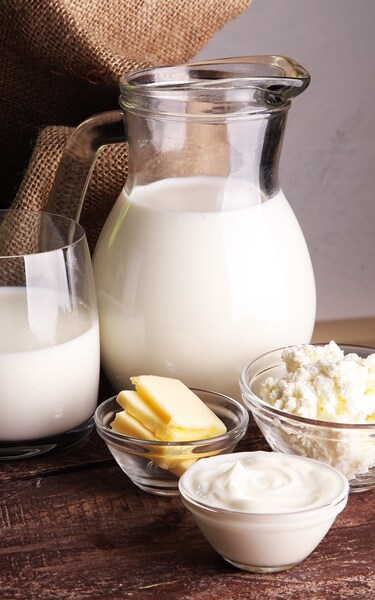 milk products. tasty healthy dairy products on a table