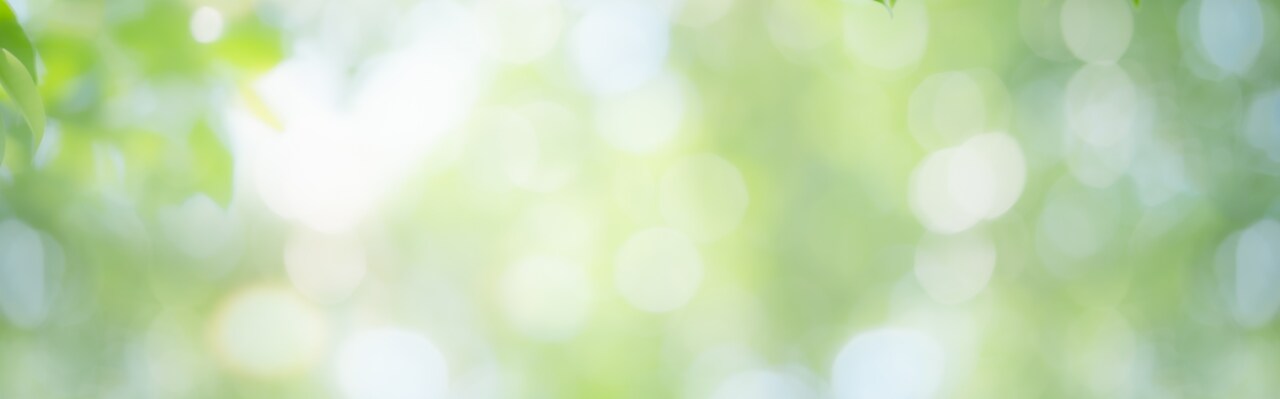 About Grundig Banner