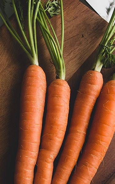 Know Your Food_Carrot _375x600