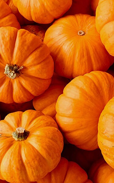 Know Your Food Pumpkin_1 _375x600