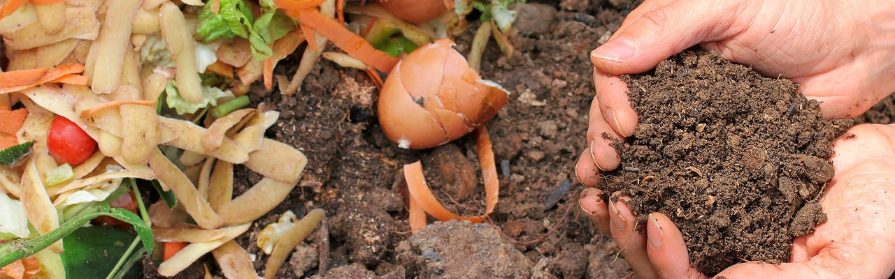 Hands are holding composted earth.