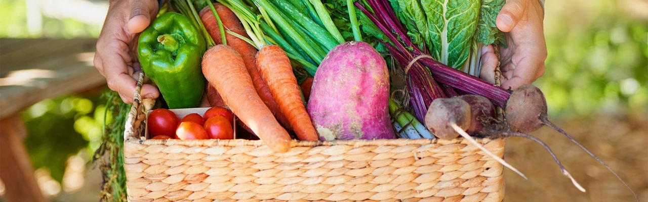 Cropped shot of a man carrying a basket of freshly picked produce in a garden
