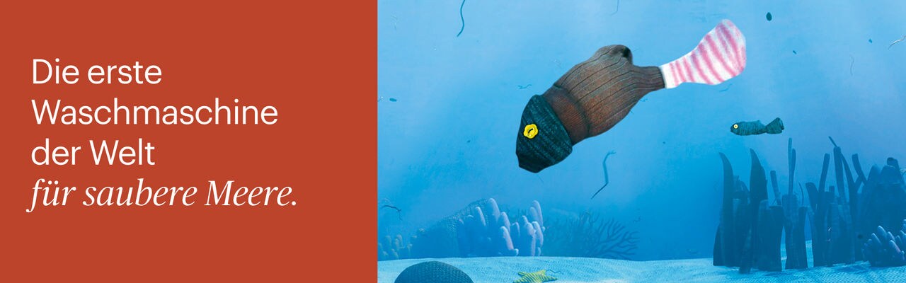 header_slide03