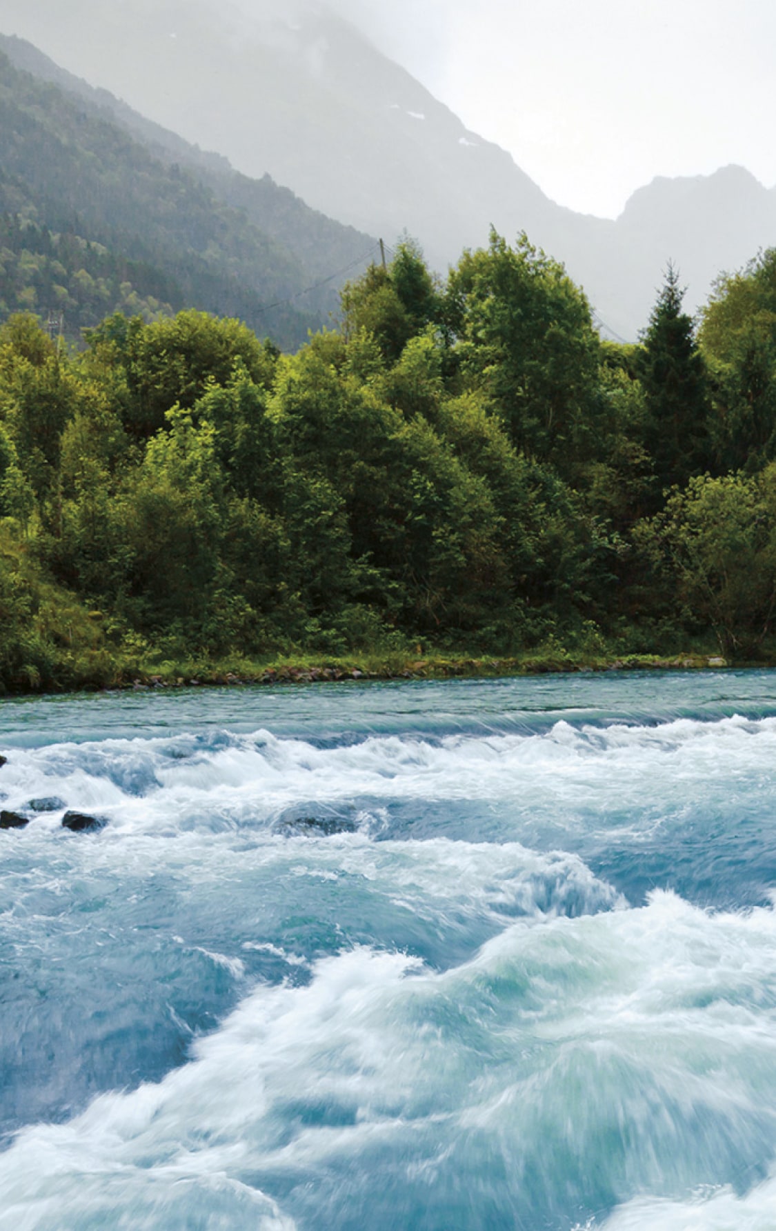 Alle reden über Nachhaltigkeit