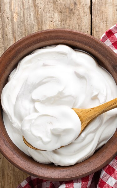 yogurtyogurt