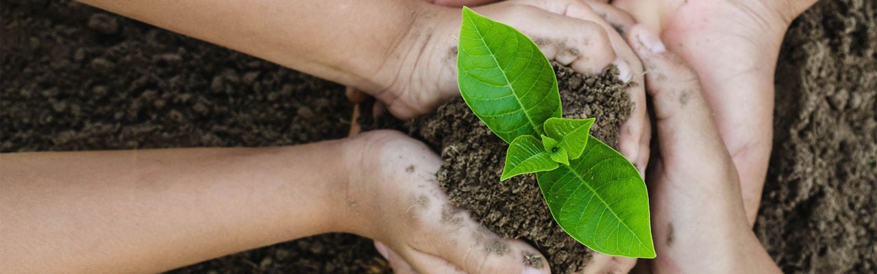 Growing concept eco Group three hand  children planting together