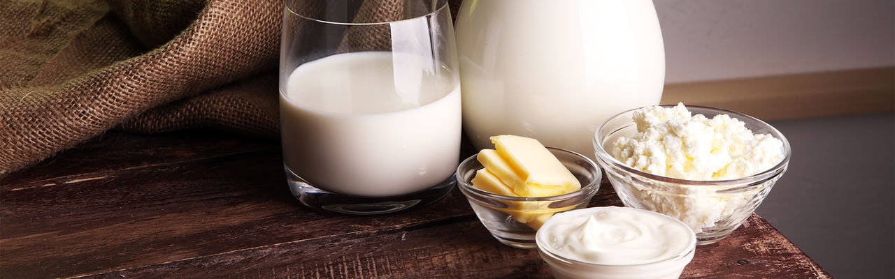 milk products. tasty healthy dairy products on a table