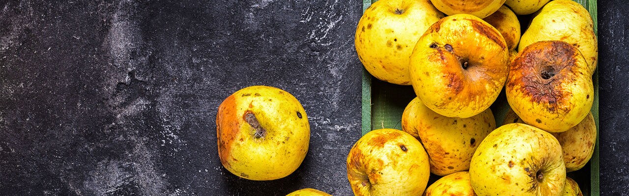 box full of of stale green apples on a dark black cement background, top view, copy space