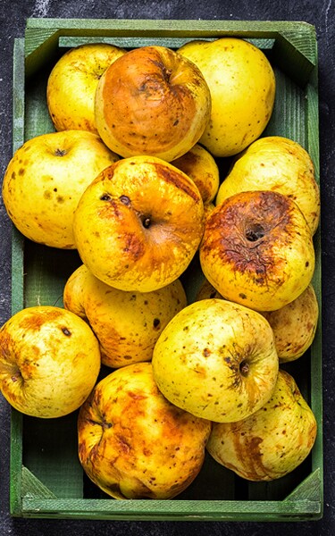 box full of of stale green apples on a dark black cement background, top view, copy space