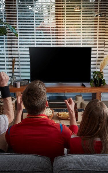 conectar barra de sonido a TV-mobile