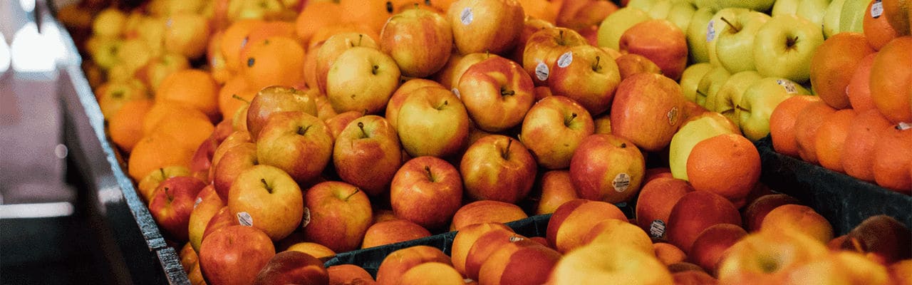 Key Facts of Food Loss and Waste _Do You Know How Much Food Is Wasted_2_1920x600