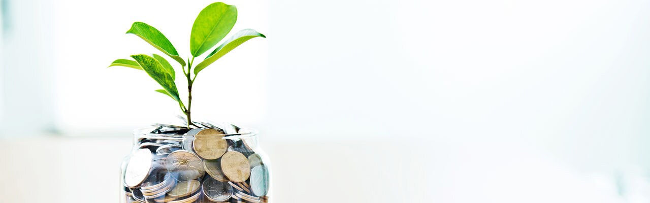 Young plant growing from coin jar, growing investments concept.