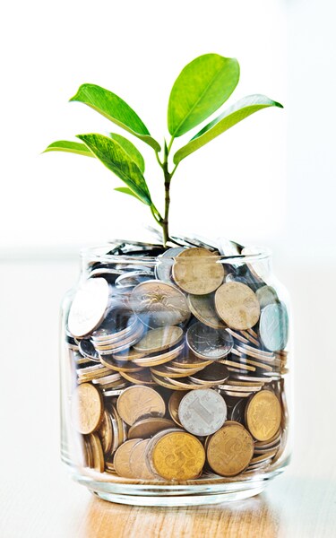 Young plant growing from coin jar, growing investments concept.