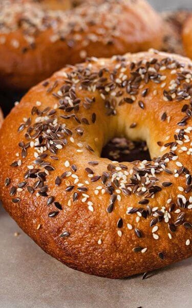 Bagel_375x600