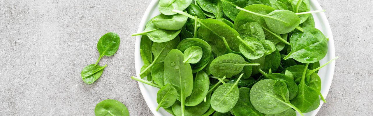 How Should Greens Be Kept in the Fridge  3_1920x600