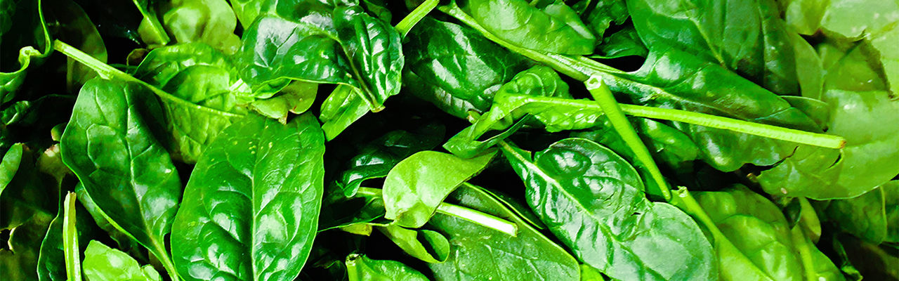 Know Your Food_Spinach_1 _1920x600