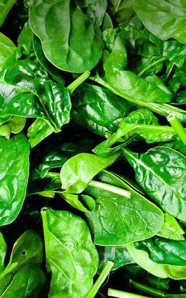 Know Your Food_Spinach_1 _375x600