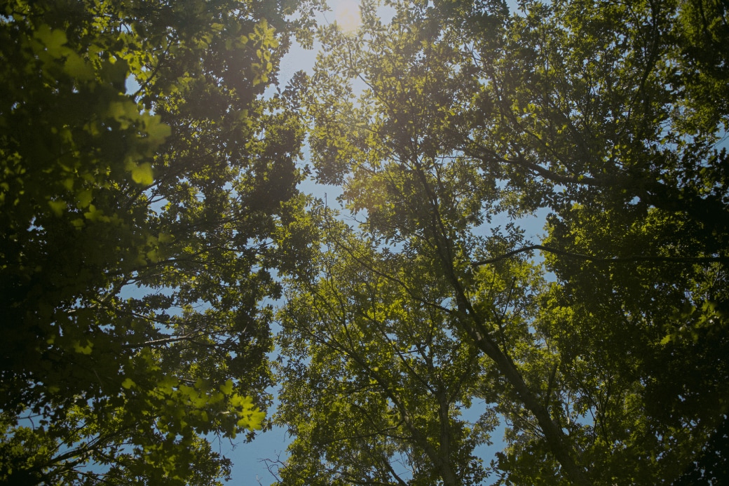 Nuevo etiquetado energético