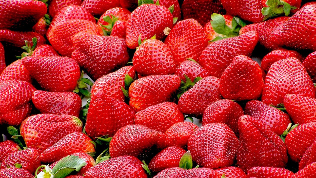 Agro-fragole?