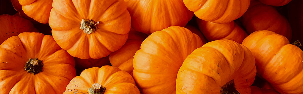 Know Your Food Pumpkin_1 _1920x600