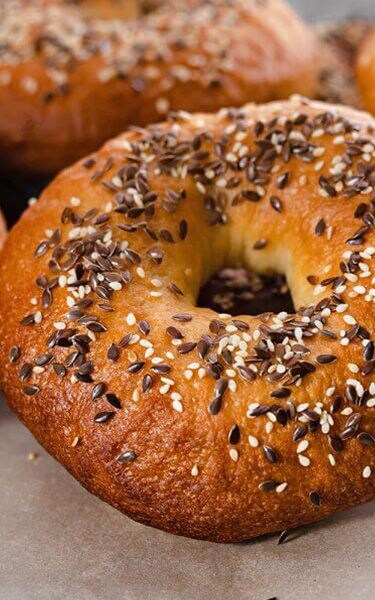 Bagel_375x600