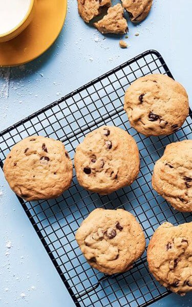 Biscuit_375x600