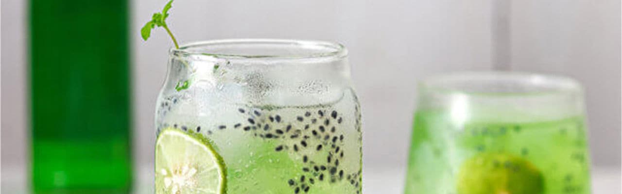 Melon-Juice-with-Seeds_1920x600