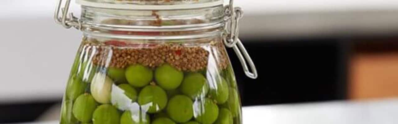 pickled_plums-eriktursu_1920x600