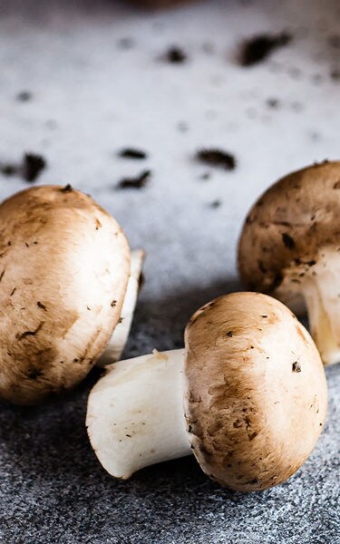 Know Your Food_Mushroom_1 _375x600
