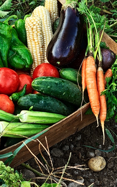 Crate with vegetables