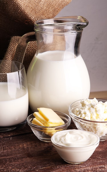 milk products. tasty healthy dairy products on a table