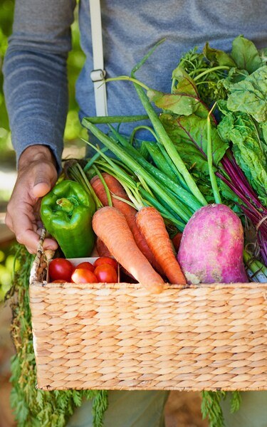 Cropped shot of a man carrying a basket of freshly picked produce in a garden
